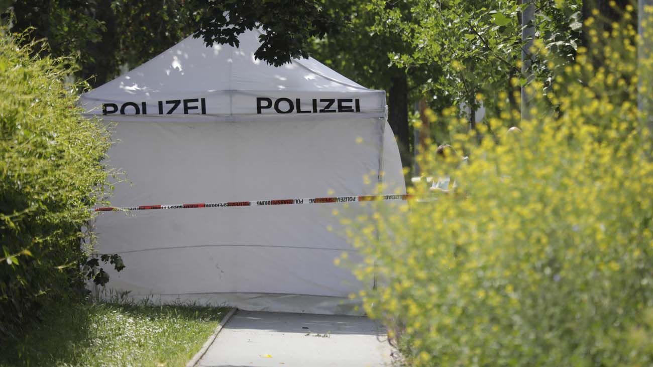 Austria: al menos 10 muertos y 28 heridos en un tiroteo en una escuela