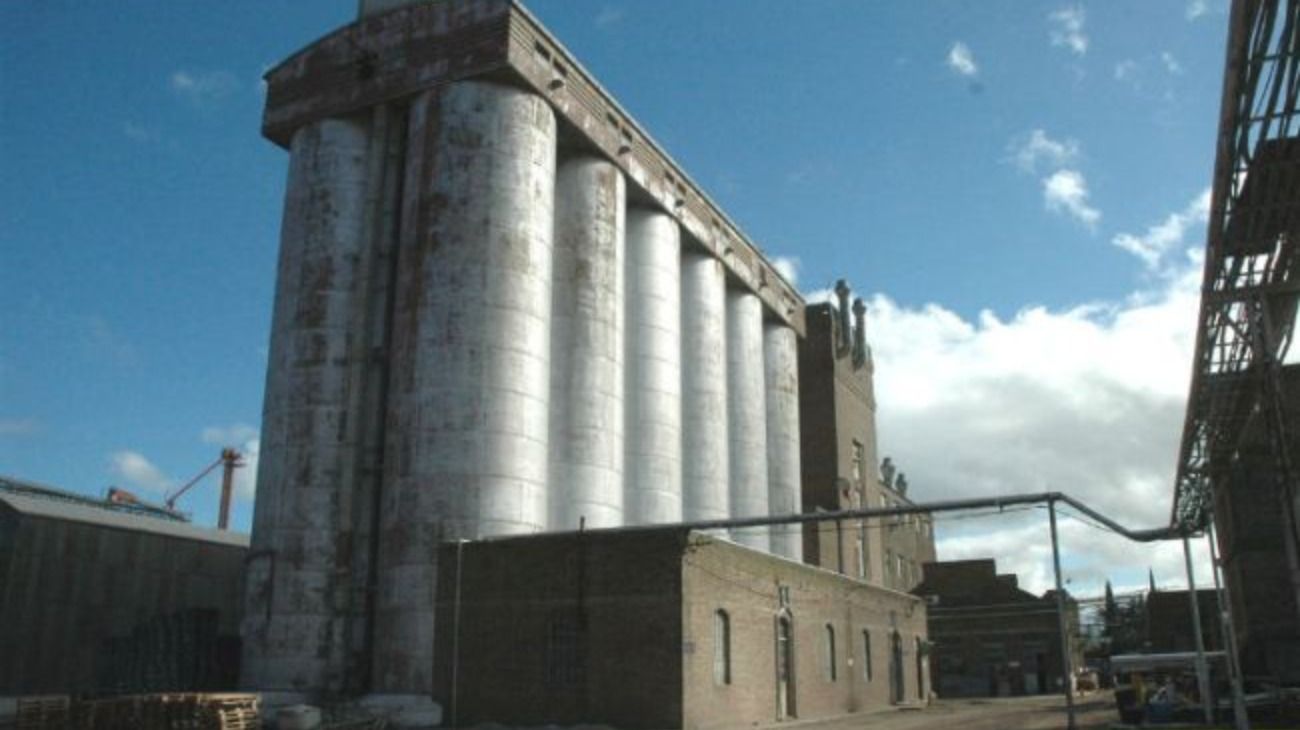 Molino Cañuelas, gigante de la industria alimenticia, podría ir a concurso: debe US$1.400 millones