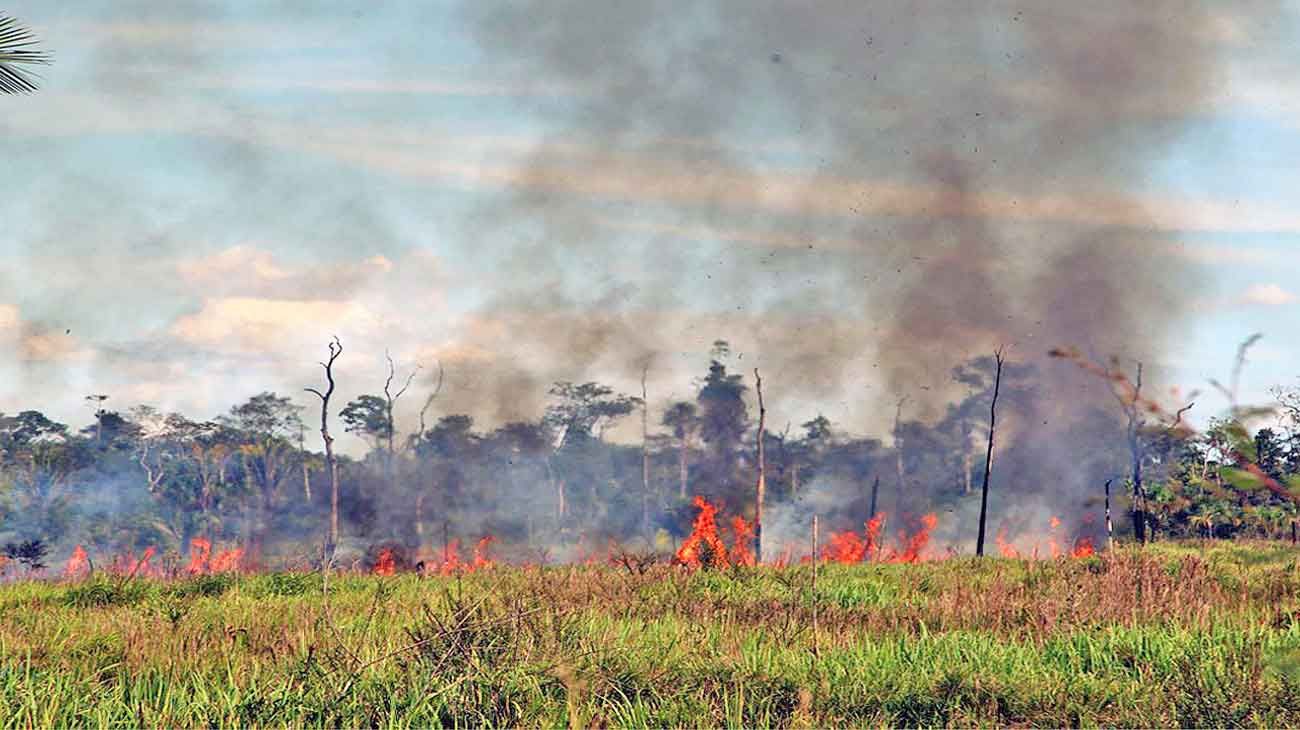 El humo de los incendios en el Amazonas ya afecta el noroeste de la Argentina