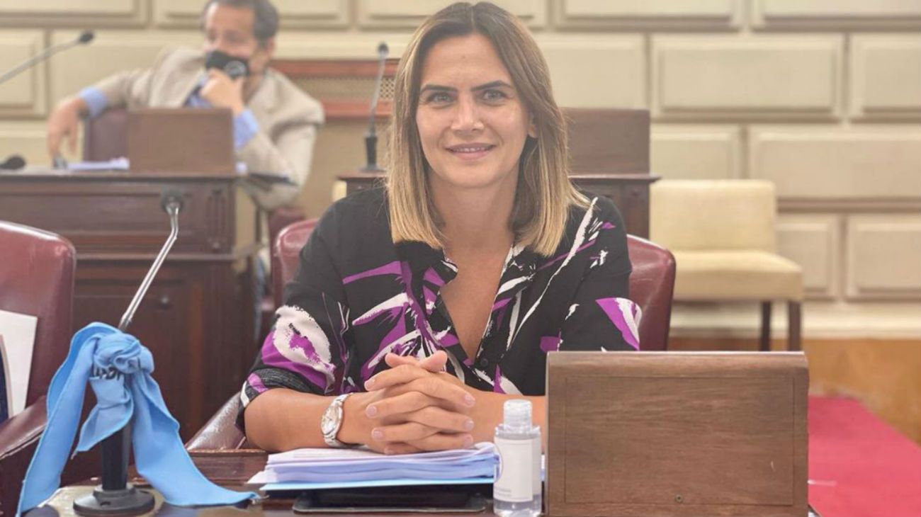 Punto por punto, qué dice el proyecto de Servicio Cívico Obligatorio presentado por Amalia Granata