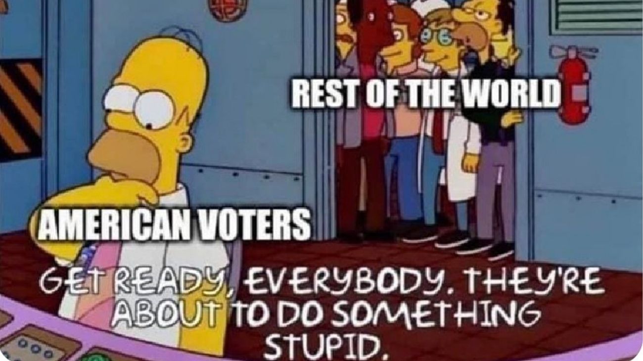 “Estamos jodidos”: los mejores memes de las elecciones presidenciales en Estados Unidos