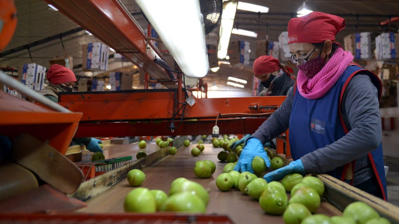 Luces y sombras de la eliminación de retenciones a exportaciones de economías regionales