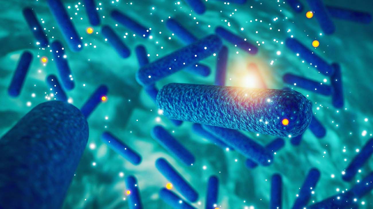 Los microbios vivirían más tiempo en la Tierra