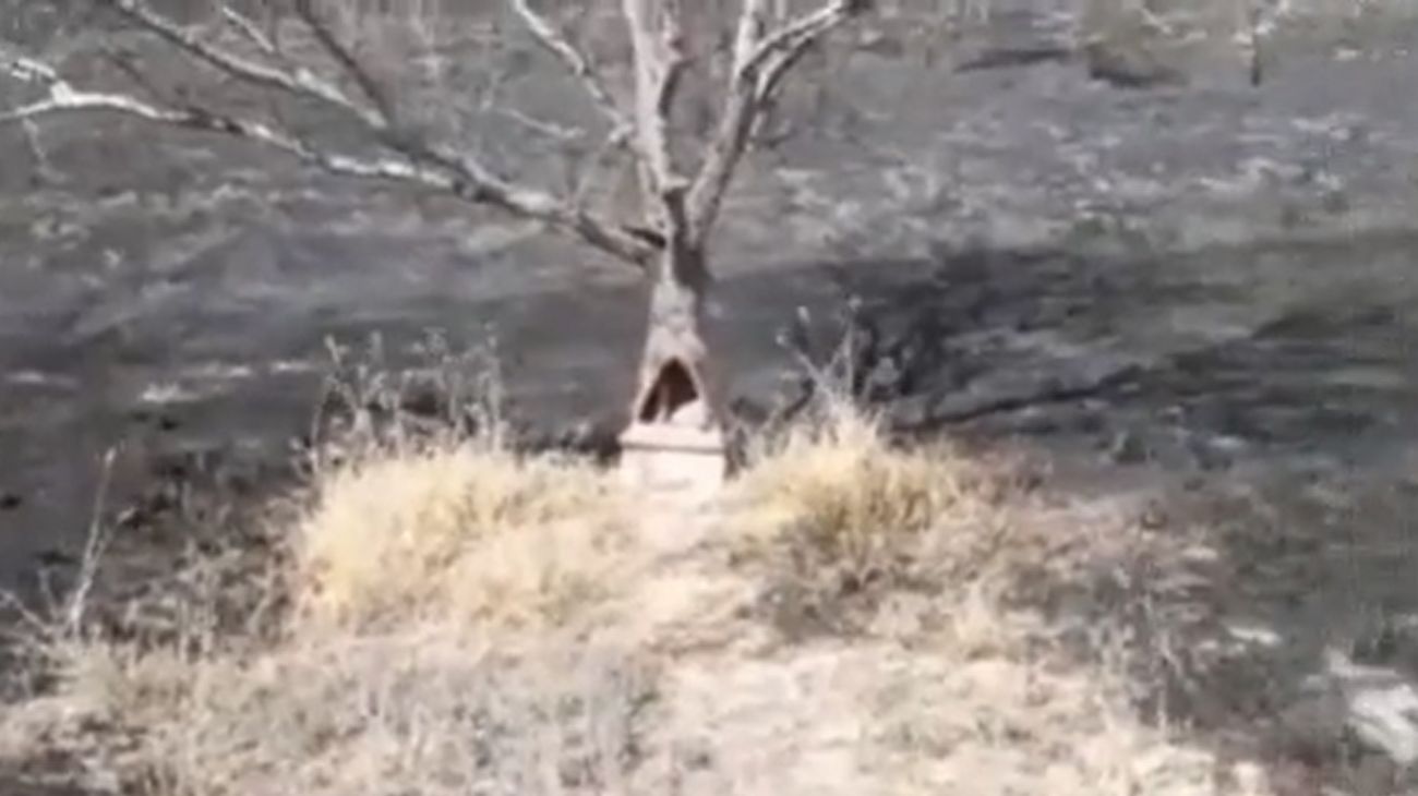 ¿Milagro en Córdoba? Un incendio arrasó una zona entera, excepto la gruta del Gauchito Gil