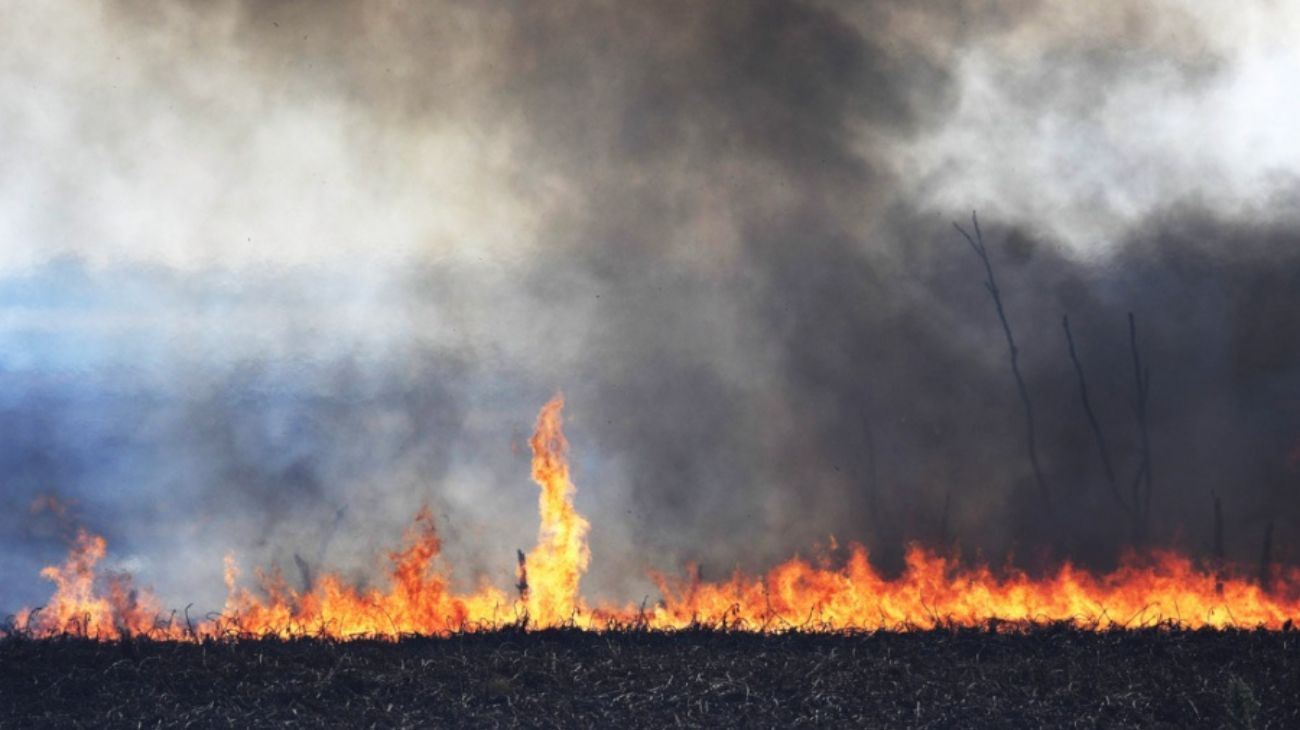 David Roggero: "No hay avaricia detrás de los incendios del Delta"