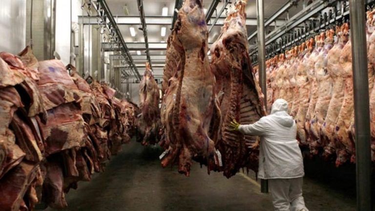 Las exportaciones de carne repuntaron en septiembre