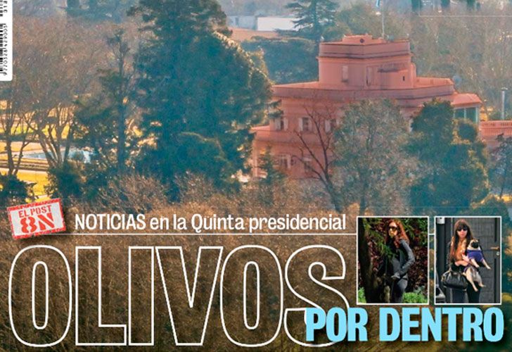 Olivos por dentro