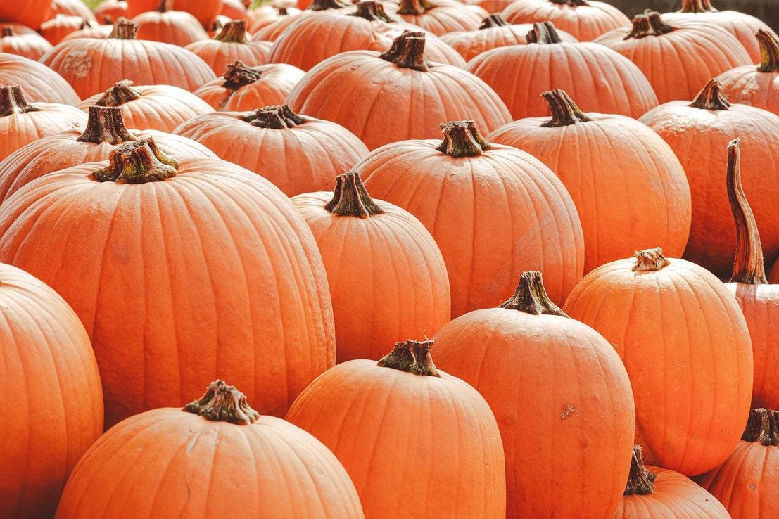 De Samhain a Jack o’ Lantern: el origen celta de Halloween