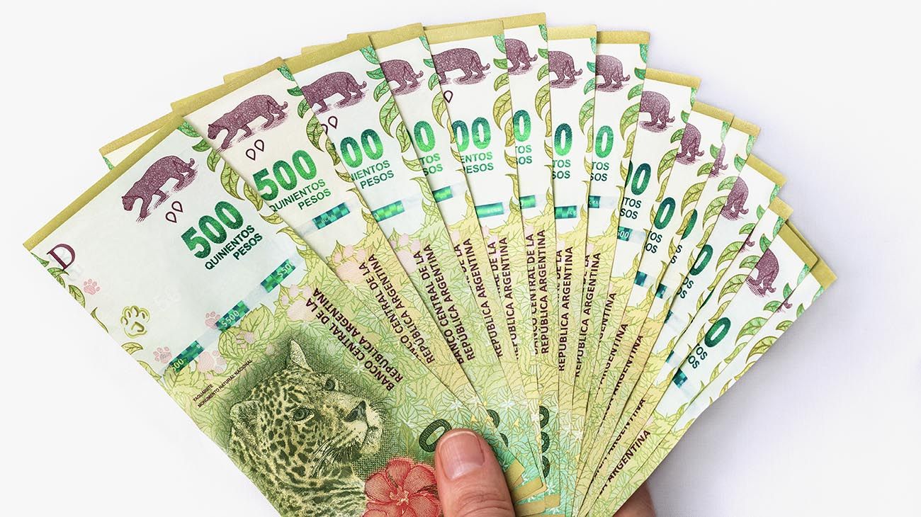 6 opciones que recomienda el Banco Central para ahorrar y cuidar el valor de los pesos