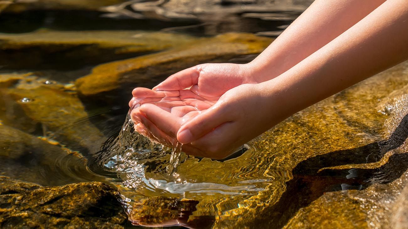 La investigación científica ayuda a la industria a proteger el medio ambiente