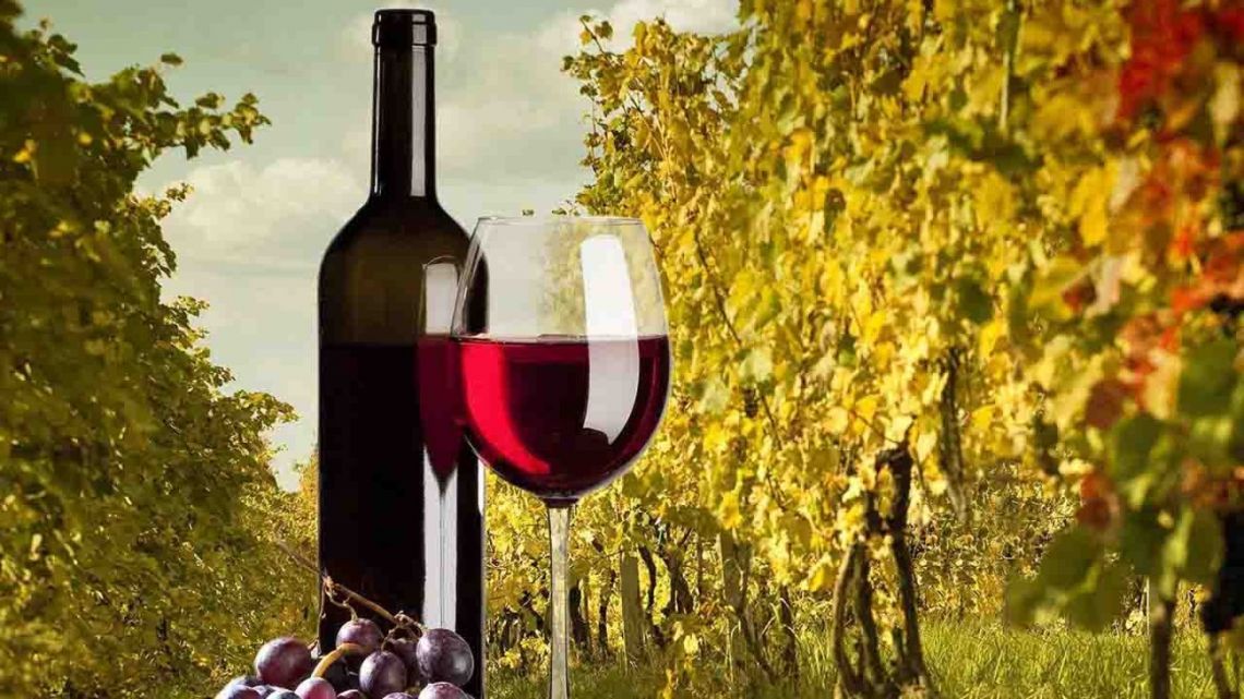 Por qué una hectárea de viñedos genera 5 veces más dólares que una de soja