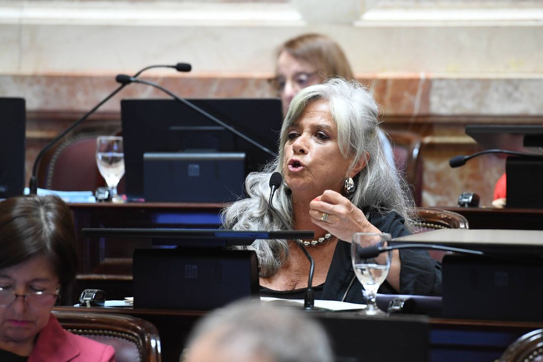 Decretos de Milei y financiamiento universitario: la postura de los senadores chaqueños