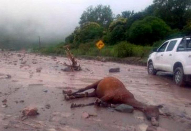 Las 10 fotos más impactantes que dejó el alud en Jujuy