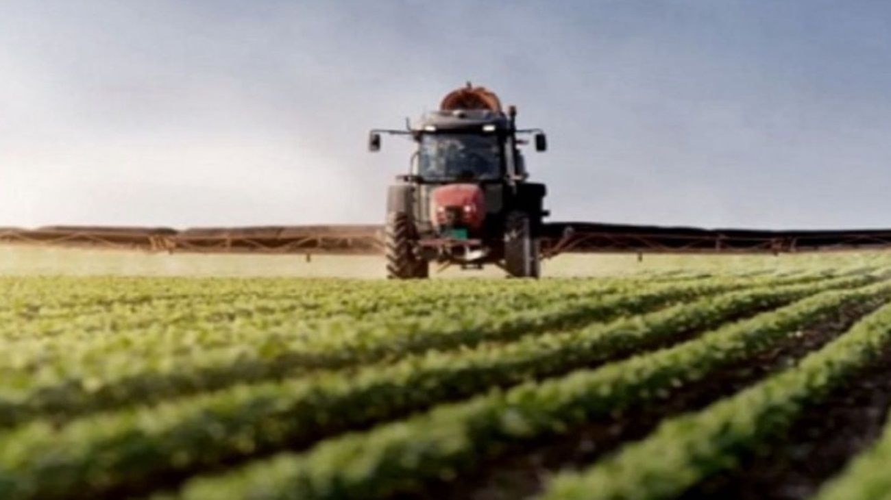 Agro: cuál es el panorama de cara a la liquidación de granos