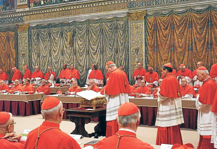 El sorpresivo papa que llegó por las internas