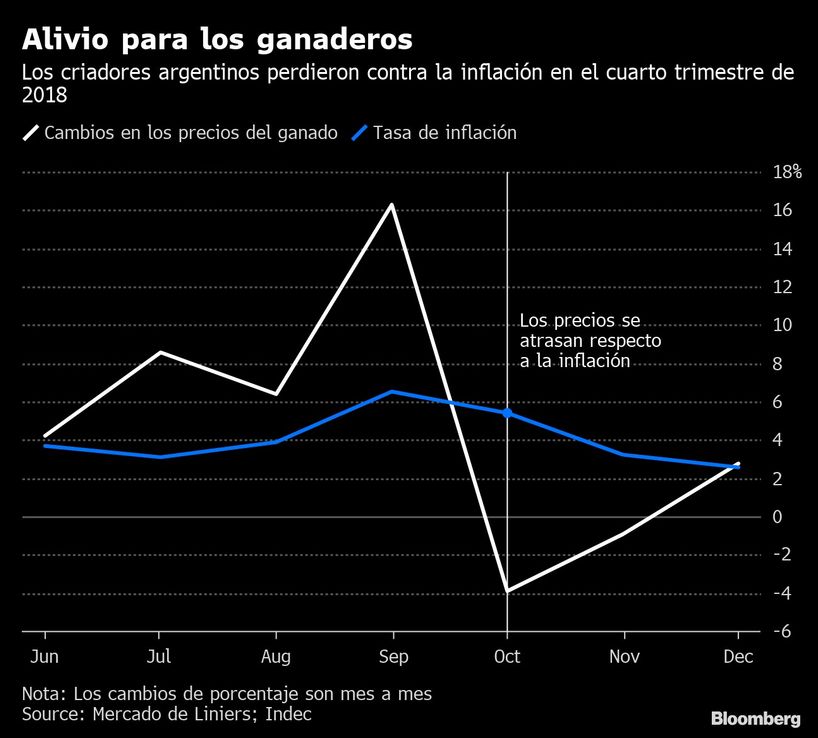 Ganaderos argentinos aplauden las implacables lluvias