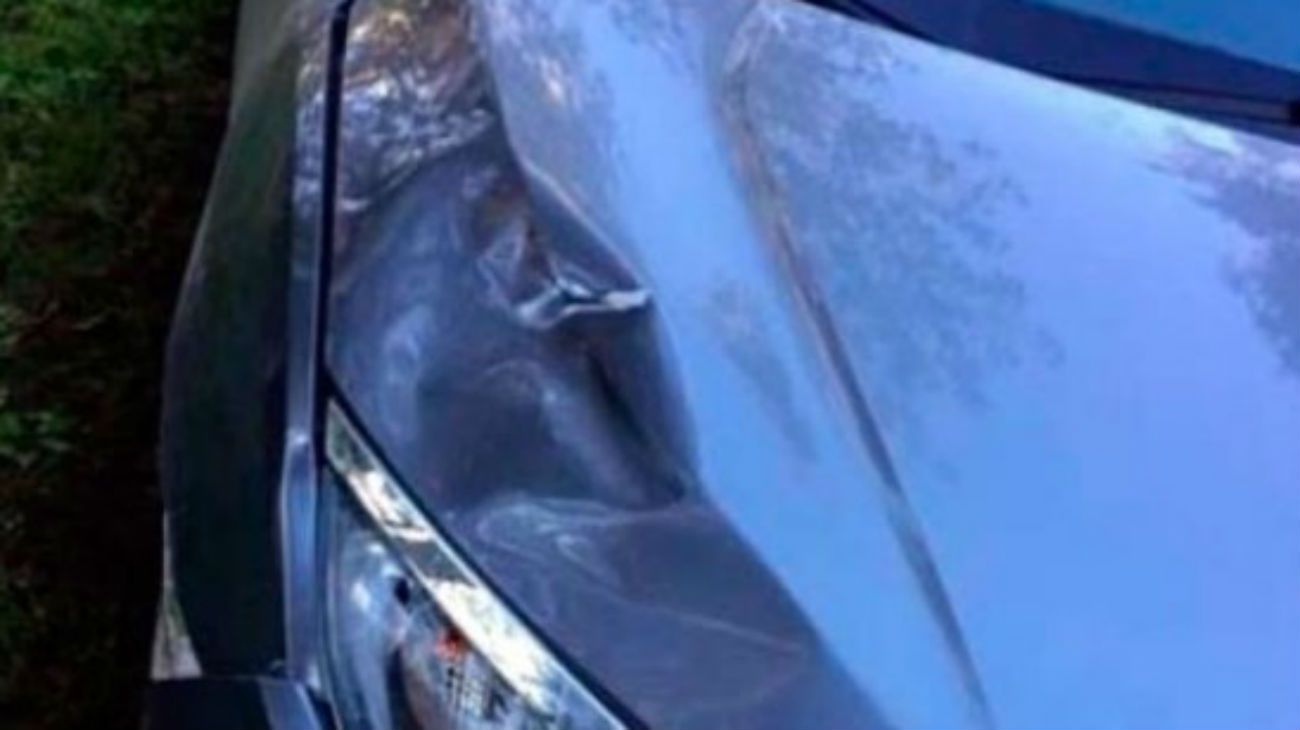 Un arquitecto atropelló a su empleado en Panamericana y huyó: está detenido
