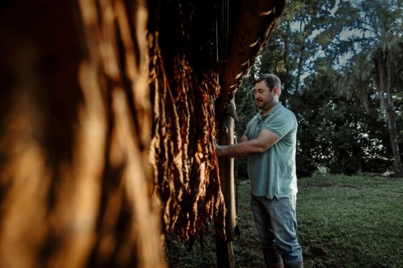 Misiones fijó el precio del tabaco con un acuerdo que fortalece la cadena productiva
