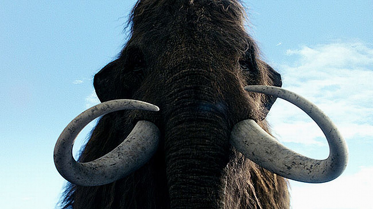 Mamut