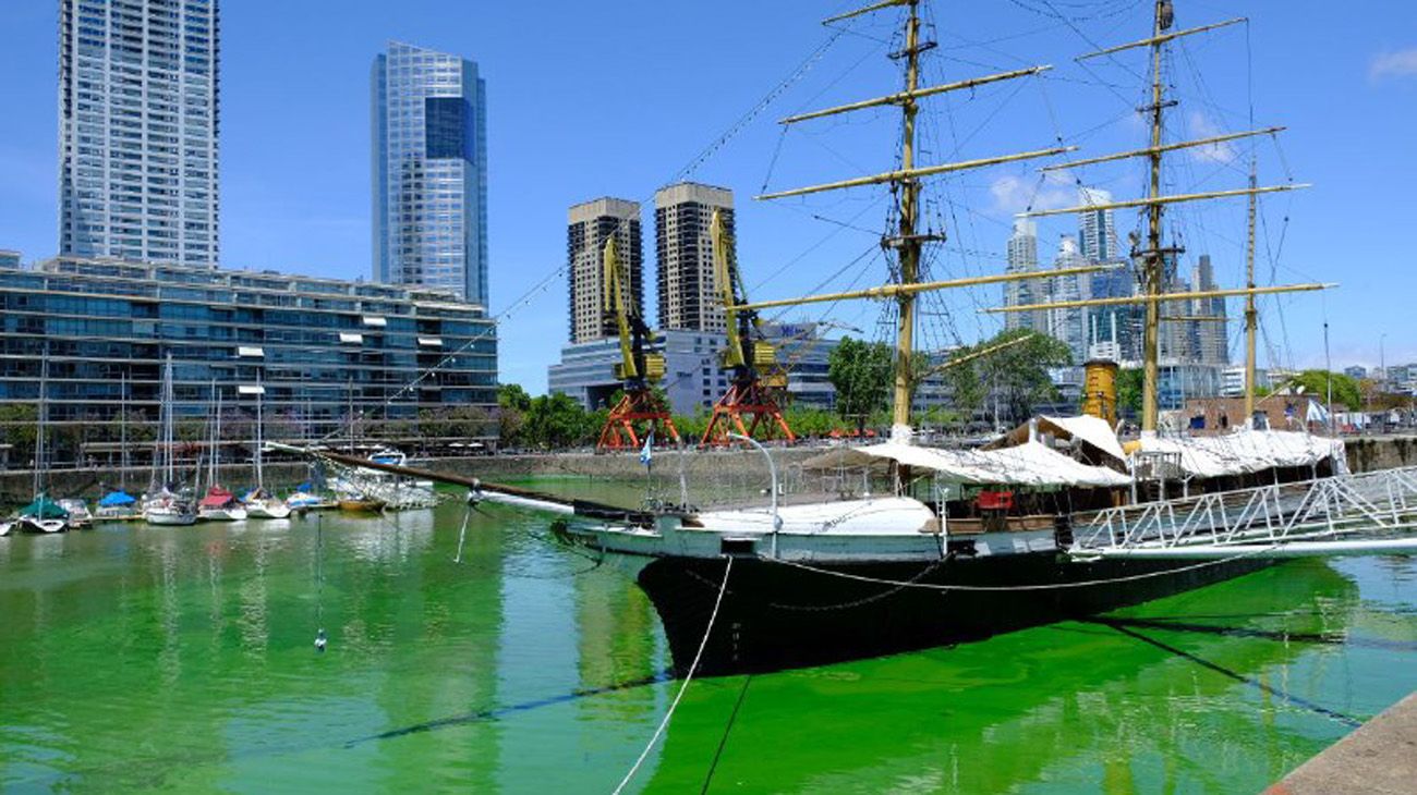 Algas venenosas | ¿Por qué el agua de Puerto Madero se tiñó de verde?