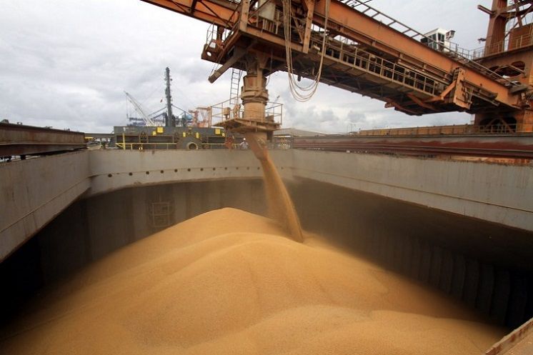 Los precios internacionales generaron más divisas por exportaciones del campo
