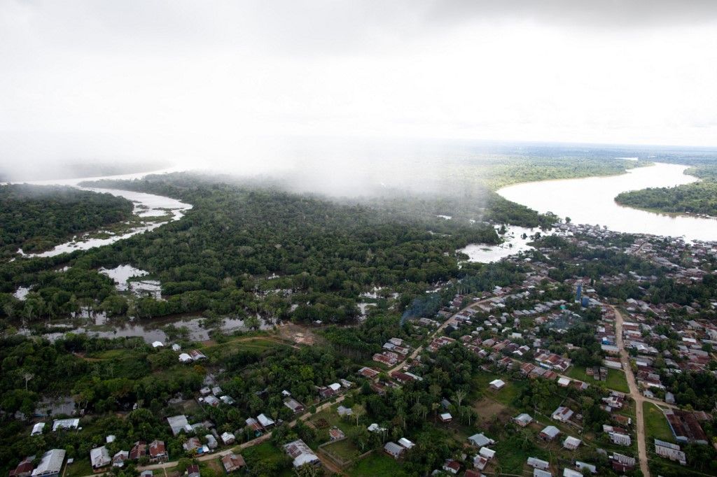La selva amazónica perdió capacidad de absorber gas carbónico