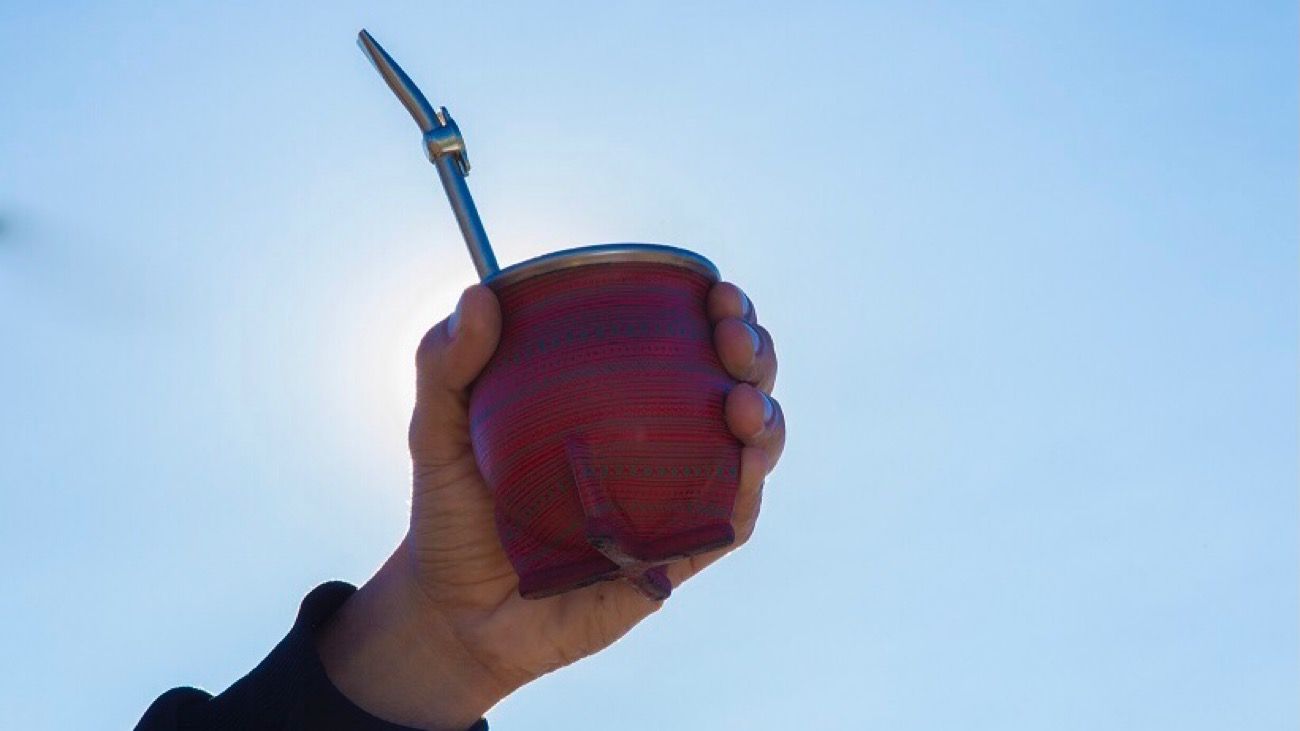 Yerba mate: cayó el consumo interno y aumentaron las exportaciones