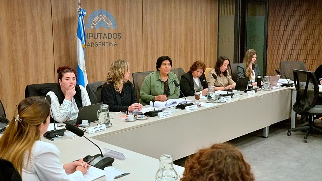 La Bicameral avanza hacia la definición del nuevo Defensor de los Derechos de Niñas, Niños y Adolescentes