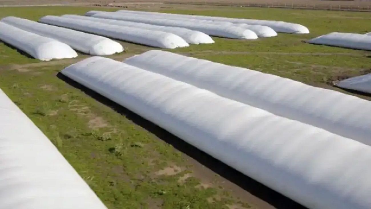 La exigencia del agro: “Necesitamos que empiece a bajar esas retenciones porque están dañando”