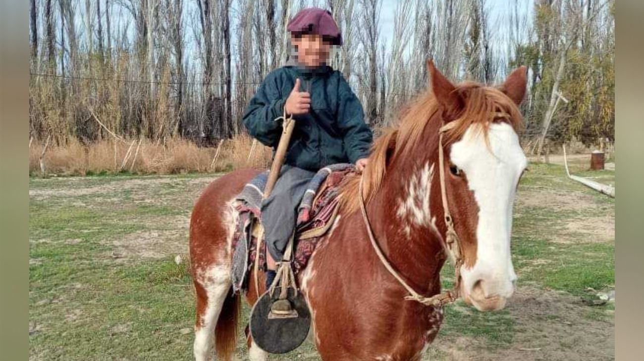 Bronca y dolor: le robaron el caballo a un nene de 12 años y se lo comieron