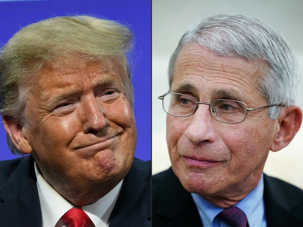 Elecciones en EE.UU.: Fauci elogió a Biden y provocó el enojo de Trump