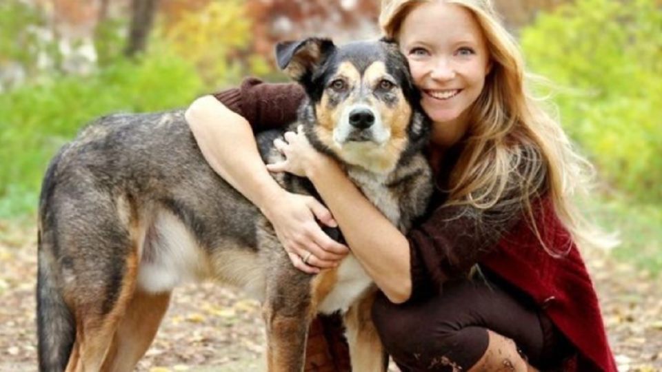 Crece el número de dueños de mascotas que se unen a movimientos antivacunas