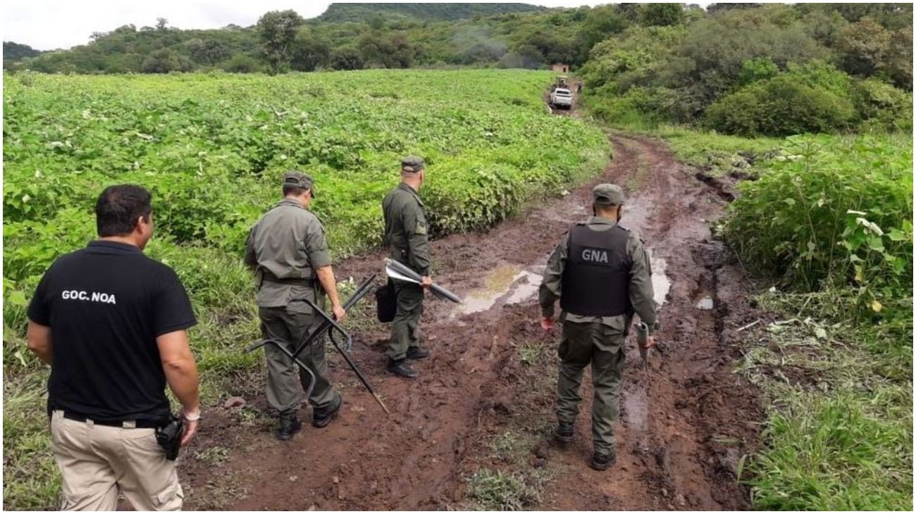 Detuvieron a "El Morsa", acusado de poseer la granja de marihuana más grande de la Argentina
