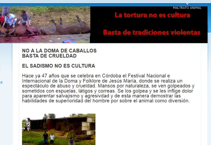 Hackearon la web de Jesús María por la "tortura" a los caballos