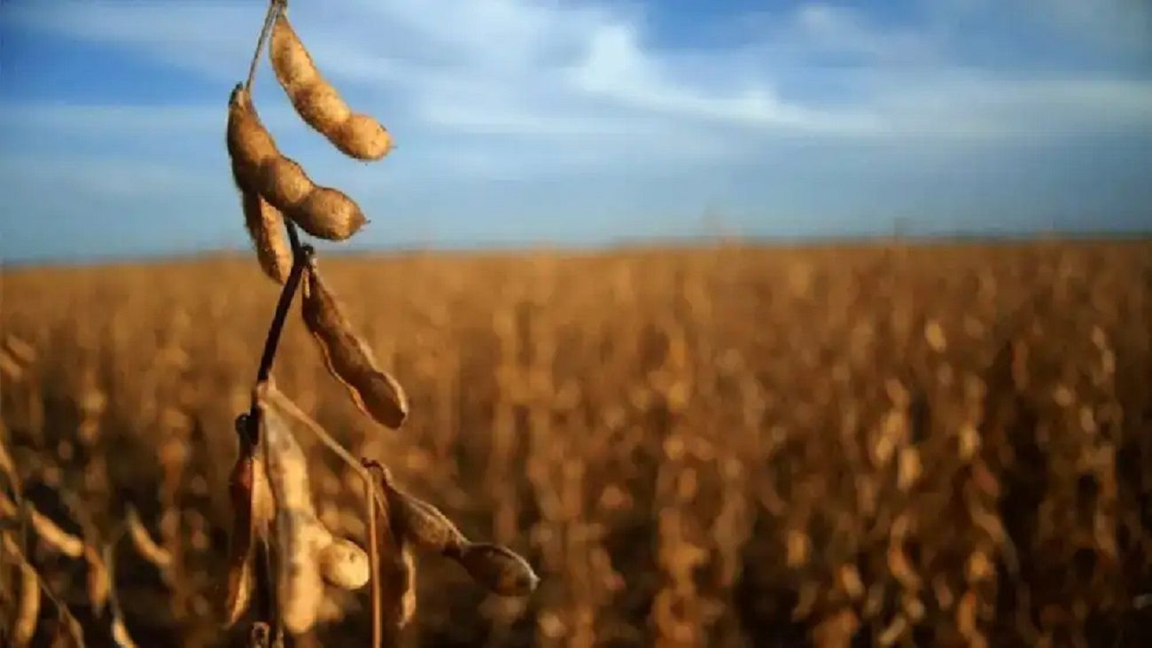 Desde el agro afirman que “falta una reforma tributaria integral en todos los estamentos del Estado"