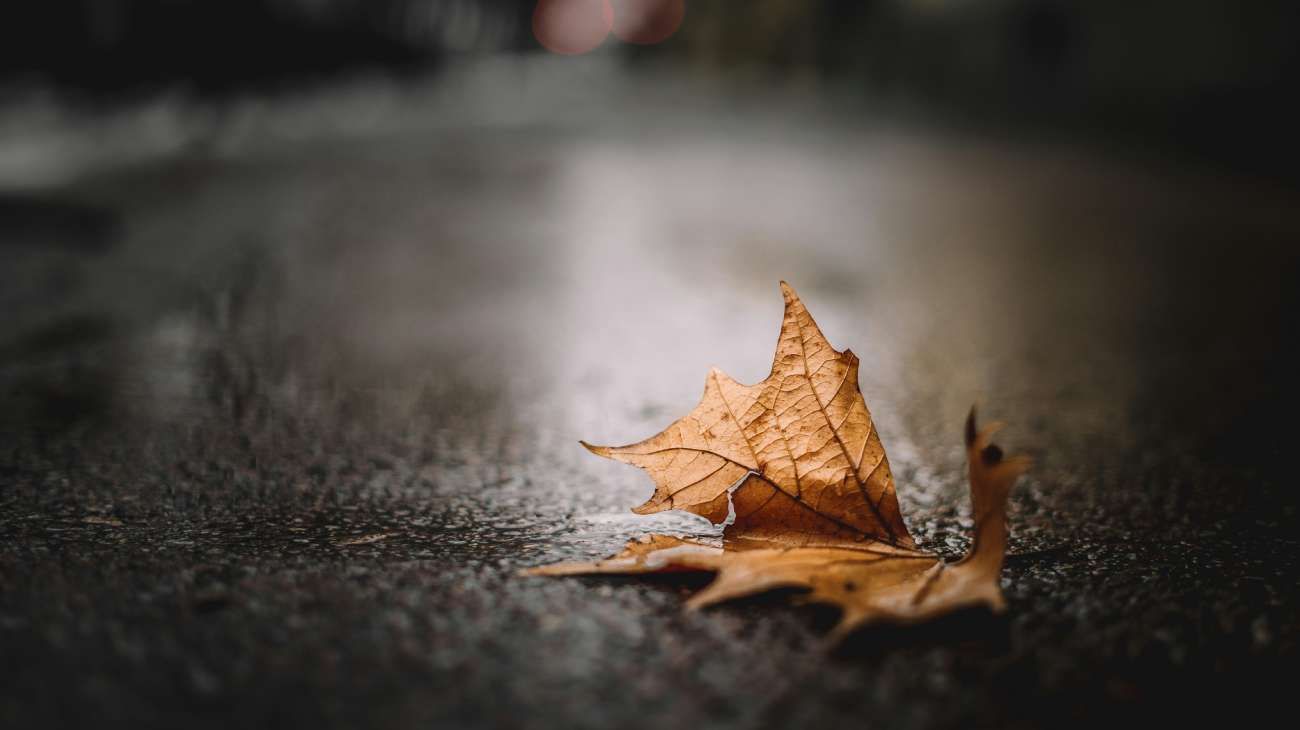 ¿Cuándo comienza el otoño en Argentina y qué es el equinoccio de otoño?