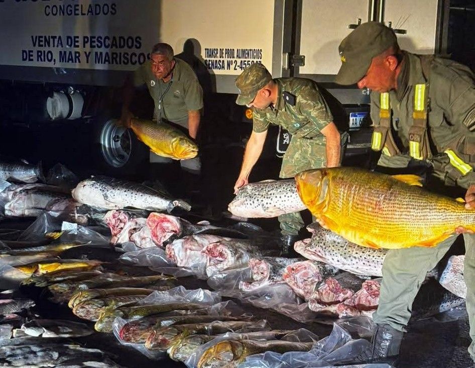 Tensión en Corrientes: se atrincheraron en un camión con más de 700 kilos de pescado protegido