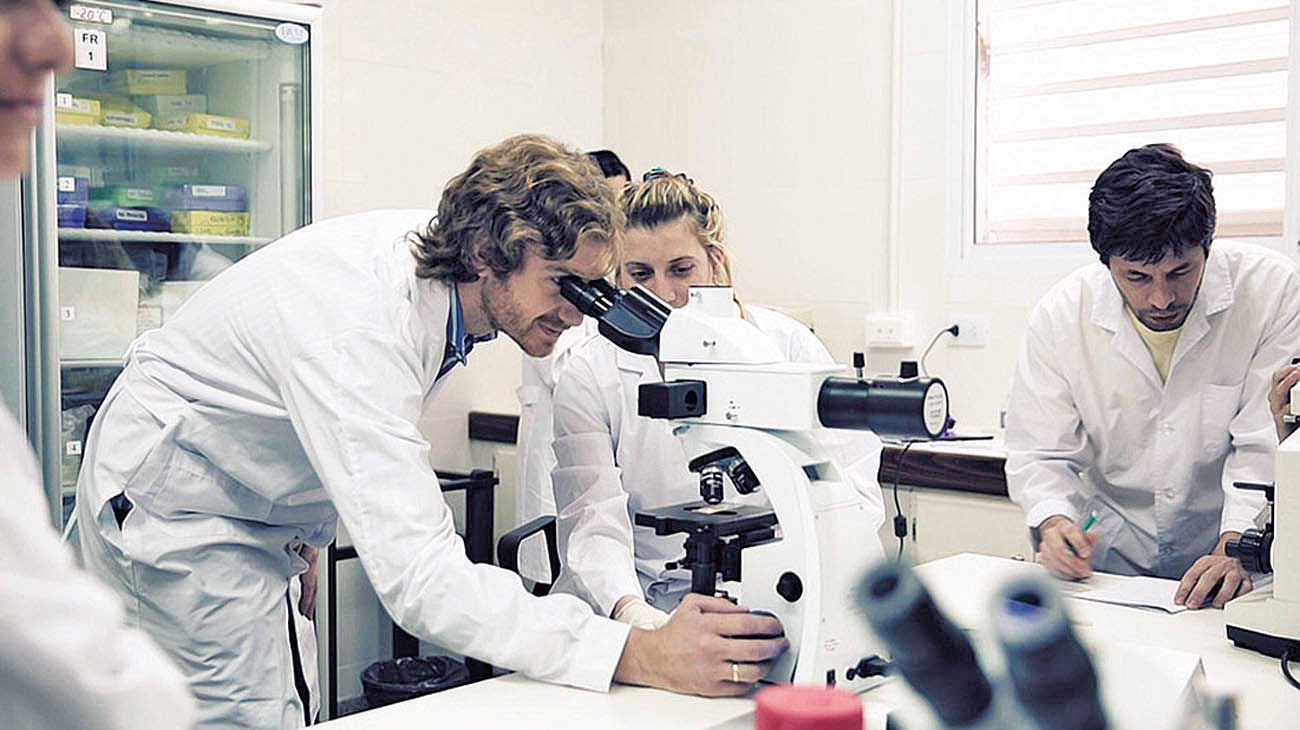 Científicos estudian la interacción del coronavirus con las mascotas