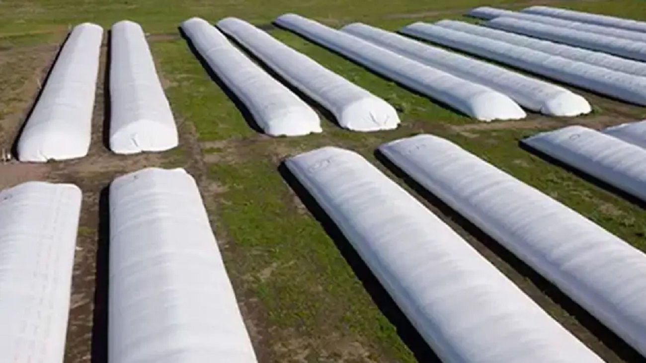 Agro argentino: “Más del 40% de la producción nacional se almacena en silobolsa”