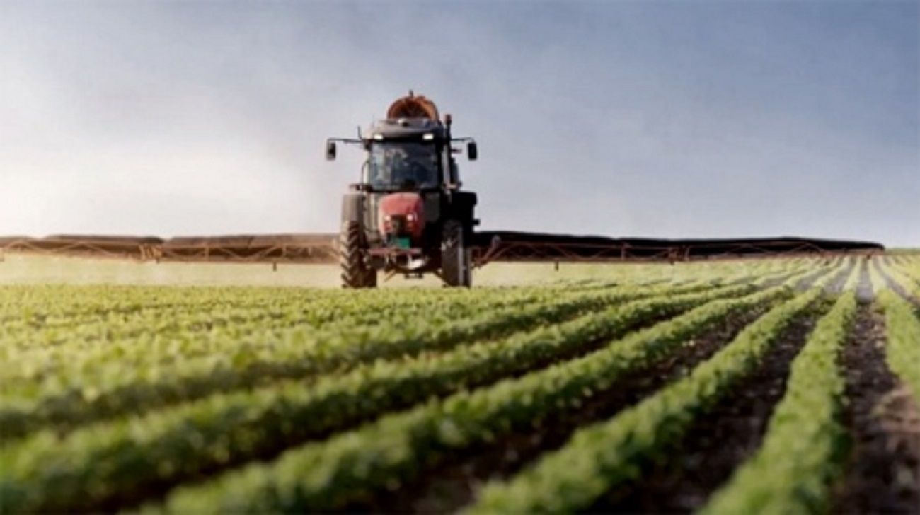 Crecen las expectativas por la cosecha del campo para 2024
