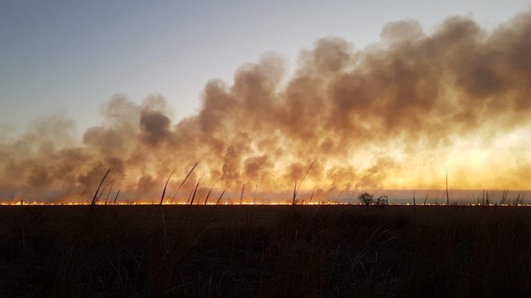 Argentina tendría superávit crediticio positivo si se incluyera la variable climática