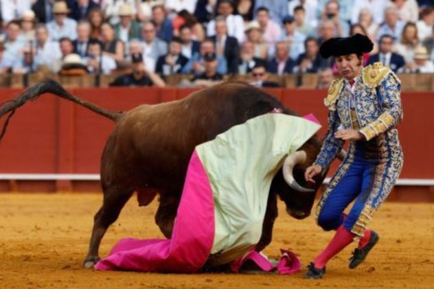 Operaron de urgencia a un torero tras recibir una cornada