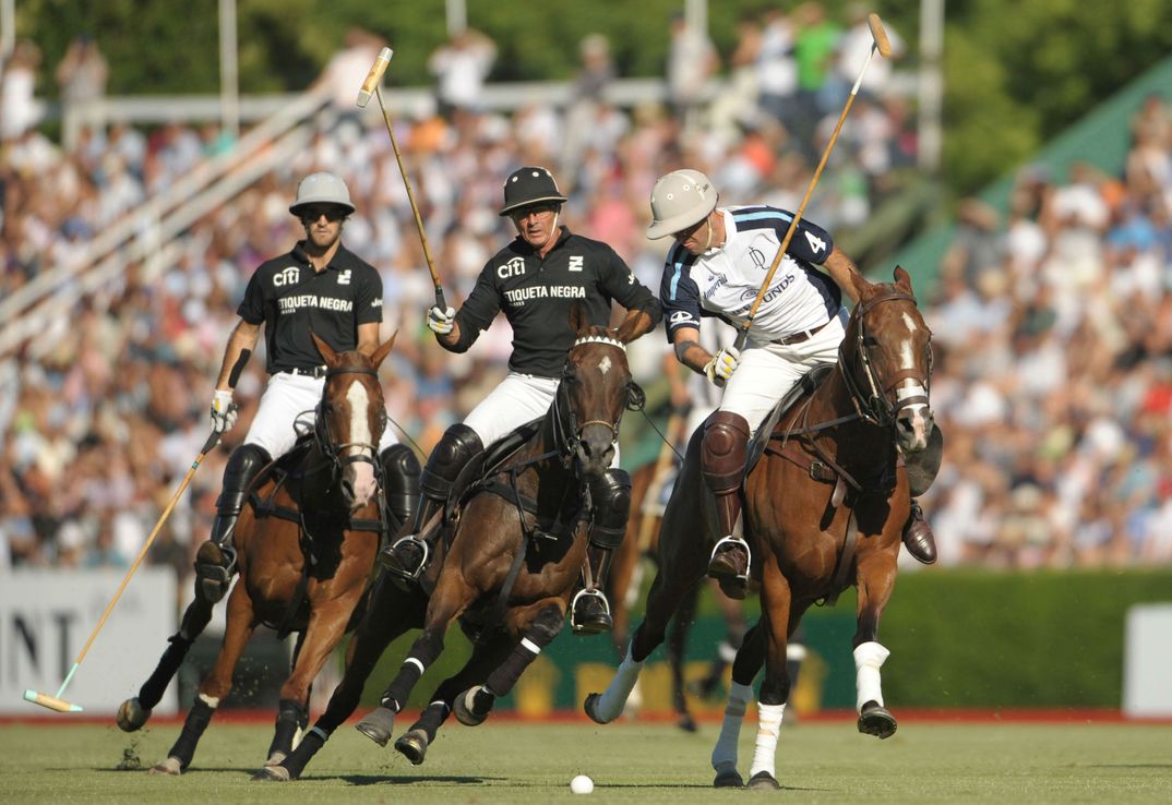 El plan del Gobierno para transformar el Campo de Polo de Palermo en un complejo de viviendas