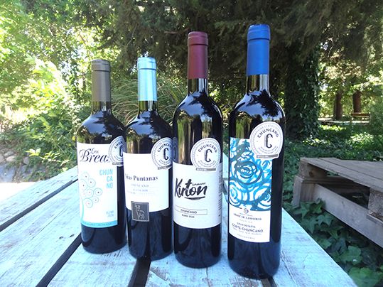 Presentan el primer vino de corte certificado cordobés