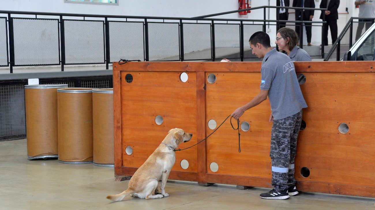 La AFIP utiliza hasta los perros para tratar de frenar la fuga de dólares