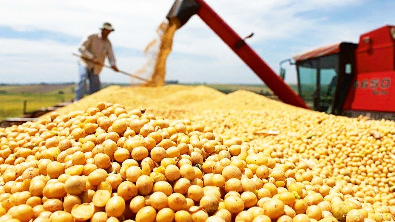 El agro aporta el 67% de las exportaciones de la Argentina
