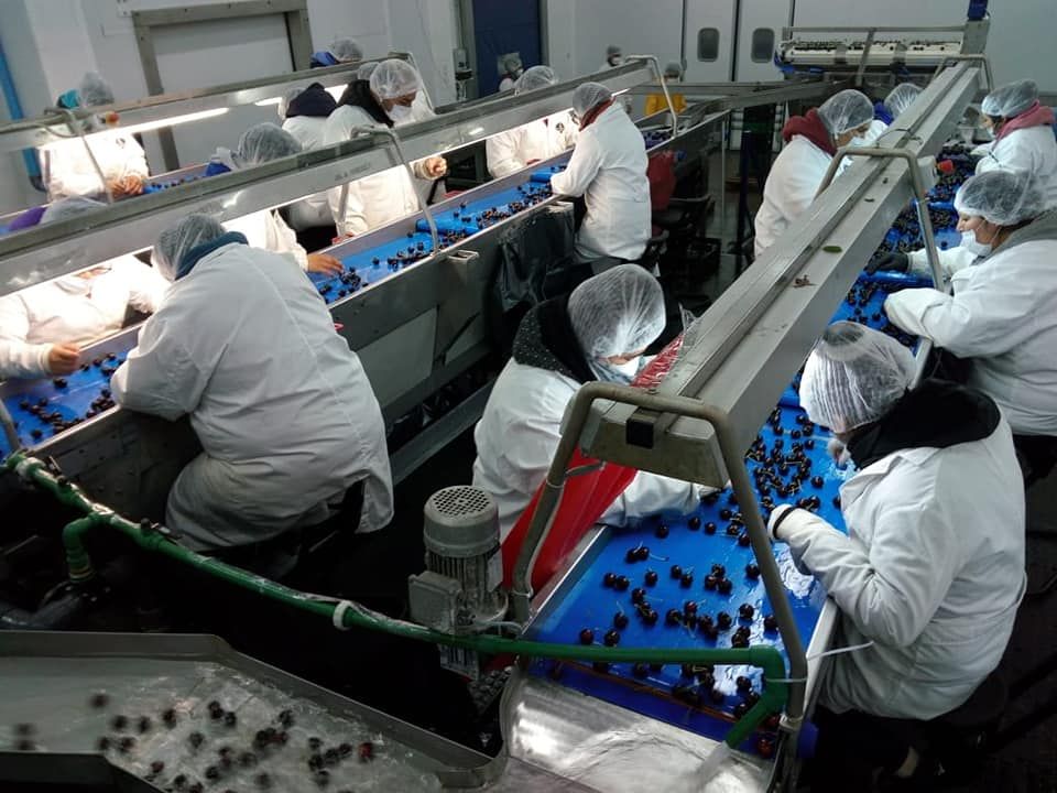 Economías regionales: la presión impositiva frena inversiones de las pymes