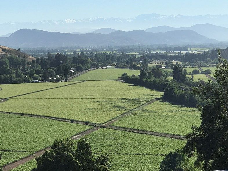 Vik Chile: lujo y exclusividad brillan bajo el sol