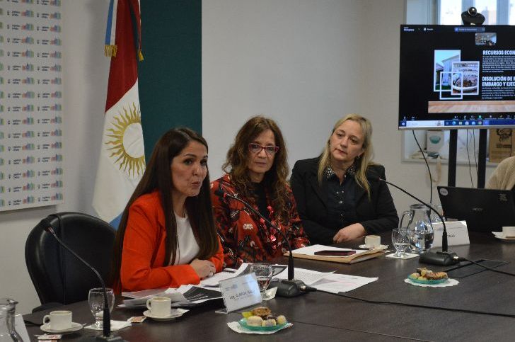 Legislatura: se presentó un proyecto de ley de museos en Córdoba
