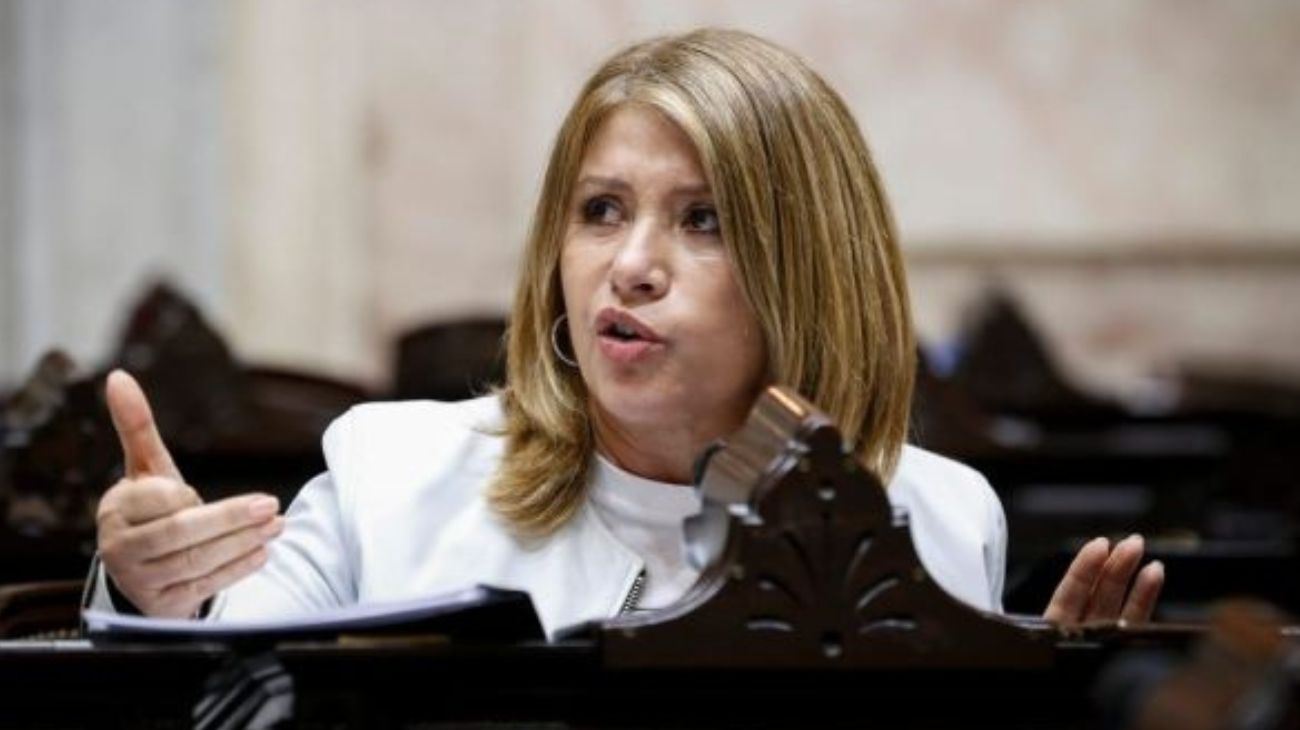 Mónica Litza: "El DNU nos lleva a una Argentina pre-peronista"